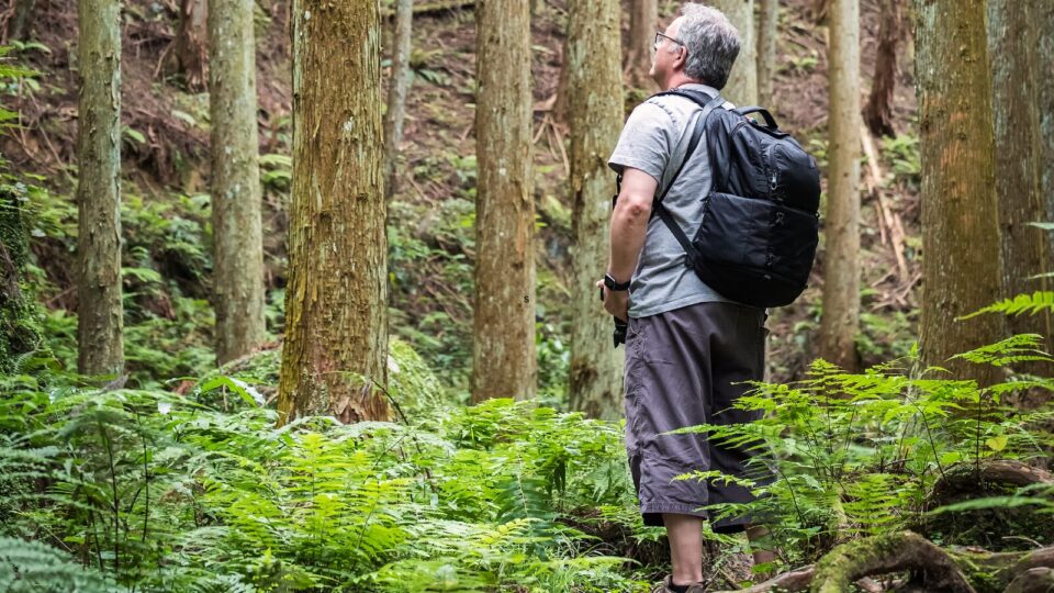 Homme avec sac à dos qui profite de la vue des arbres dans la forêt.