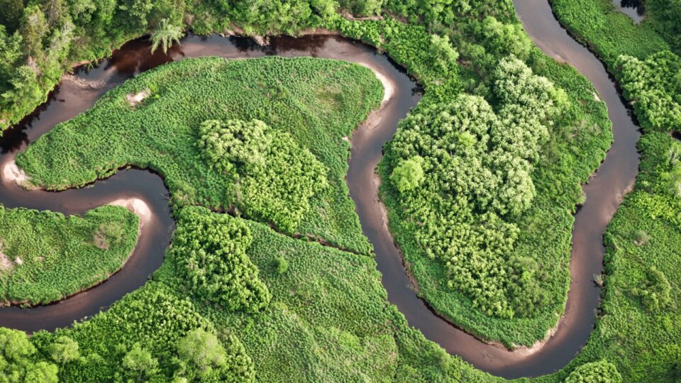 Vue aérienne d’une rivière sinueuse dans une forêt.